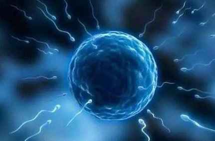 重度弱精海南三代试管成功案例，上海三门峡夫妇15万真实花费明细