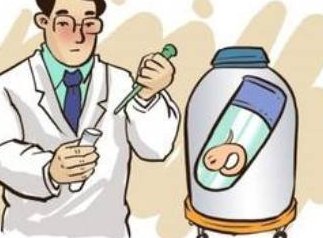 武汉试管婴儿医院排名，武汉试管怀孕成功率费用指南