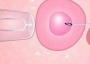 四川成都私人助孕联系方式-成都市助孕公司人工服务