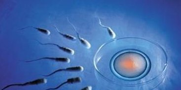 【揭秘】青岛助孕机构排行榜，十大优质助孕公司推荐汇总