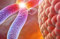 始基子宫做试管检测排卵有什么方法？